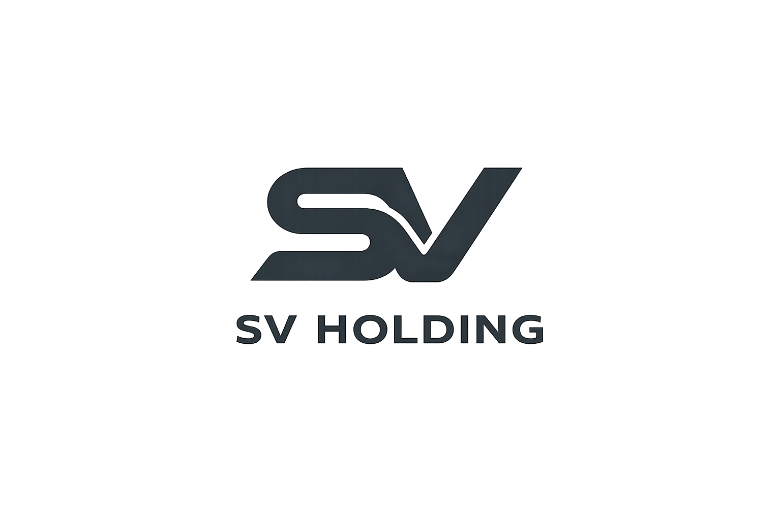 SV HOLDING